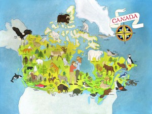 animals_of_canada_map_by_jessicaraegordon-d6uurxr.jpg
