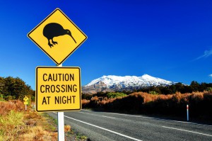 new_zealand_kiwi_bird_road_sign.jpg